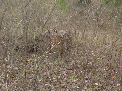 Western Michigan Speedway (West Michigan Speedway) - Spring 2008 From Me (newer photo)